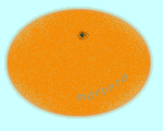 mandarin orange ©ejm2003 (gif 7.32kb)