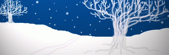 winter wonderland (©ejm2004)