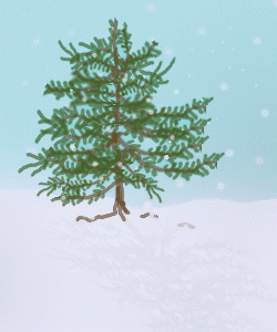 Advent 6 ©ejm2009