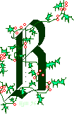 Christmas B ©ejm96