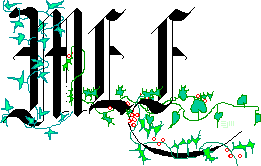Christmas MEF ©ejm98,99