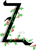 Christmas Z ©ejm98